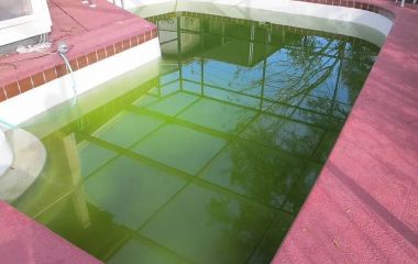 Особенности выбора средства для бассейна против цветения воды Особенности выбора средства для бассейна против цветения воды