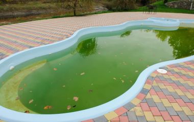 Чем очистить воду в бассейне? Чем очистить воду в бассейне?